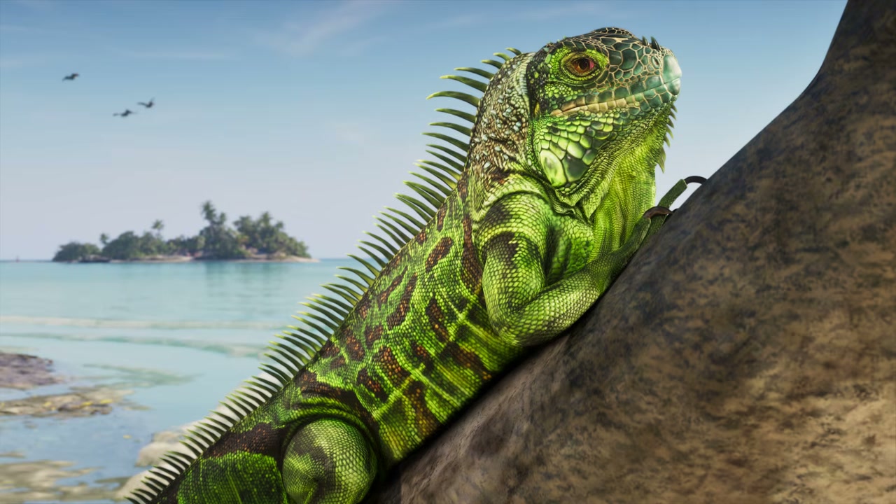 Iguana de GTA VI junto al agua, la imagen exclusiva que Rubius muestra al final de su vídeo